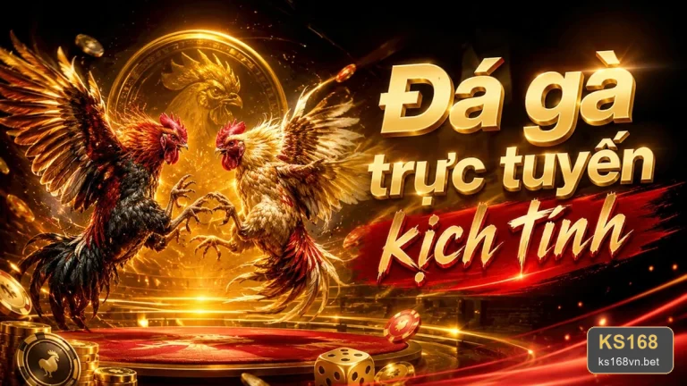 KS168 Khuyến Mãi Theo Tình Huống – Hướng Dẫn Đọc Thông Tin Đúng Cách Trước Khi Quyết Định